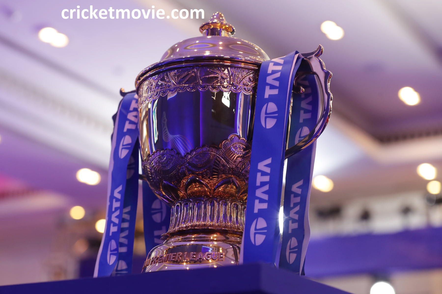 Tata IPL 2022 Schedule Announced-cricketmovie.com