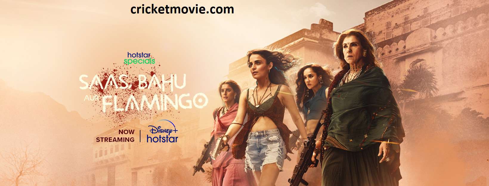 Saas Bahu Aur Flamingo Review-cricketmovie.com