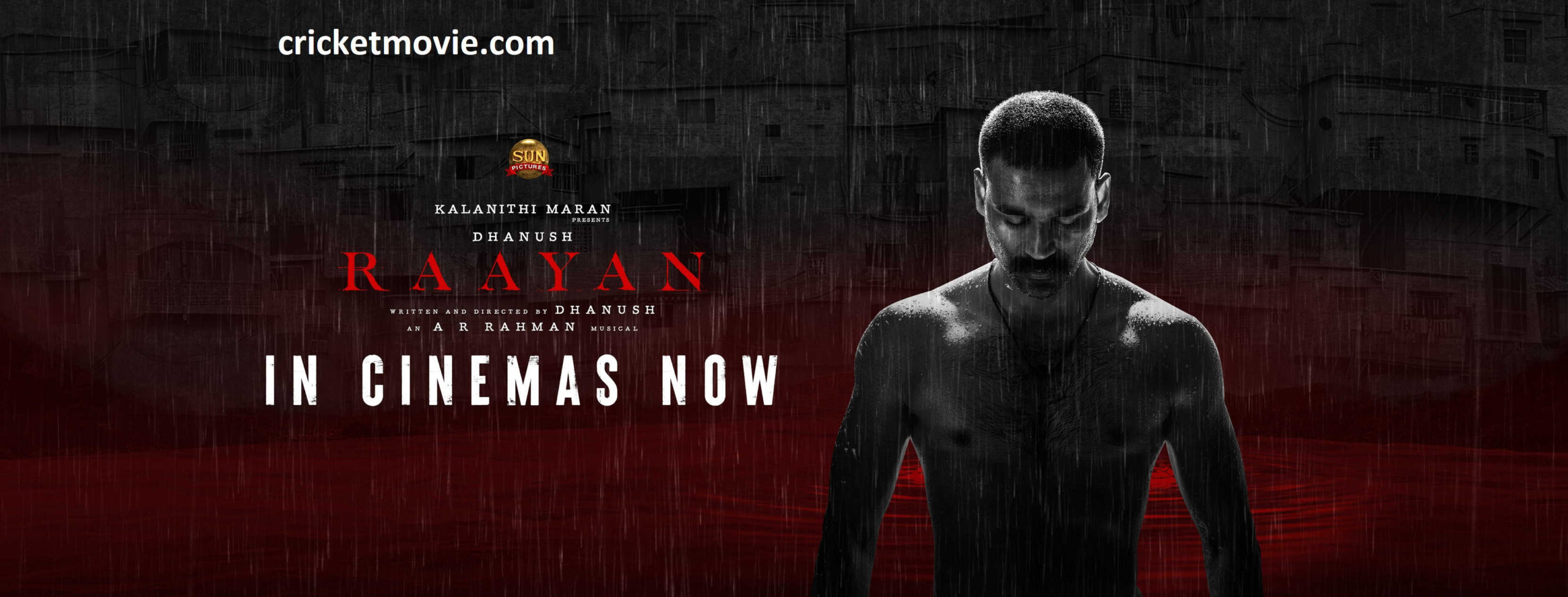 Raayan Hindi Review-cricketmovie.com